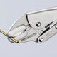41 04 250 | Locking Grip Pliers | Semi-Circular Gripping Mouth - 250mm