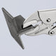 41 04 250 | Locking Grip Pliers | Semi-Circular Gripping Mouth - 250mm